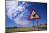 Warthog Crossing Sign-Paul Souders-Mounted Photographic Print