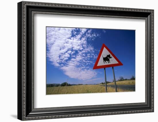 Warthog Crossing Sign-Paul Souders-Framed Photographic Print