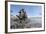 Warthog in Mud Hole, Chobe National Park, Botswana-Paul Souders-Framed Photographic Print