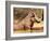 Warthog, Mount Etjo Namibia, 2018-Eric Meyer-Framed Photographic Print