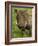 Warthog, Ngorongoro Crater, Serengeti National Park, Tanzania-Joe & Mary Ann McDonald-Framed Photographic Print