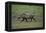 Warthog-DLILLC-Framed Premier Image Canvas