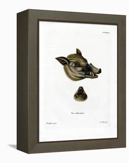 Warthog-null-Framed Premier Image Canvas