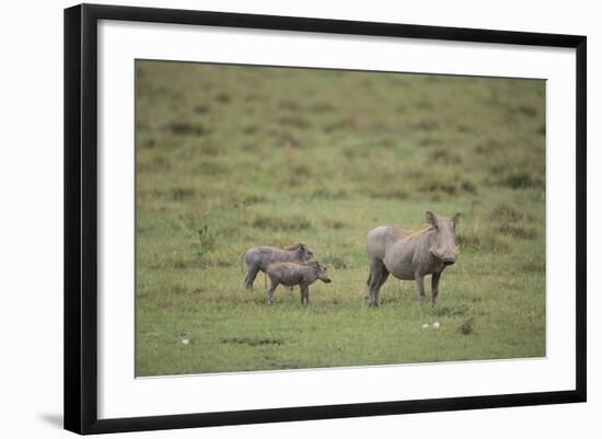 Warthogs-DLILLC-Framed Photographic Print