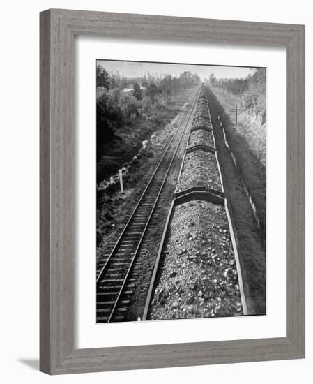 Wartime Railroading: Coal Cars of Freight Train of the Charleston and Western Carolina Line-Alfred Eisenstaedt-Framed Photographic Print