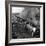 Wartime Railroading: Double-Header on Charleston-Western Carolina Line-Alfred Eisenstaedt-Framed Photographic Print