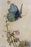 He Rides on the Back of a Butterfly-Warwick Goble-Framed Photographic Print