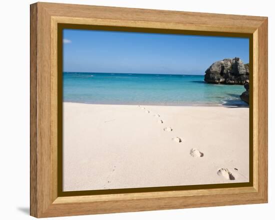 Warwick Long Bay, Jobson's Cove, Bermuda, Central America-Michael DeFreitas-Framed Premier Image Canvas