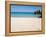 Warwick Long Bay, Jobson's Cove, Bermuda, Central America-Michael DeFreitas-Framed Premier Image Canvas