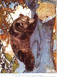 The Brown Bear (Ursus Arctos), Climbing after Honey, Illustration from 'The New Natural History',…-Warwick Reynolds-Giclee Print