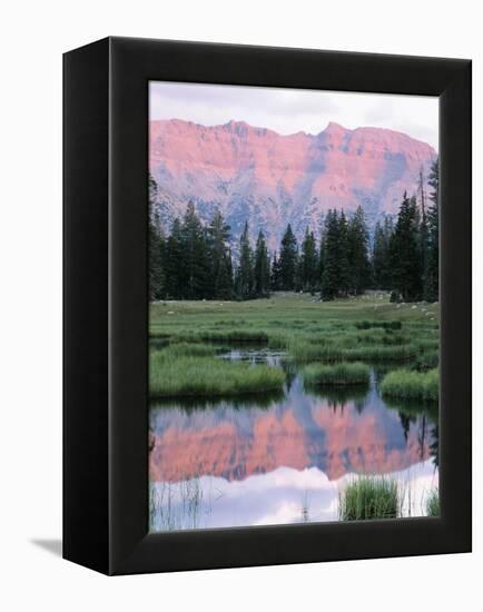 Wasatch National Forest, Ostter Peak, High Uintas Wilderness, Utah, USA-Scott T^ Smith-Framed Premier Image Canvas