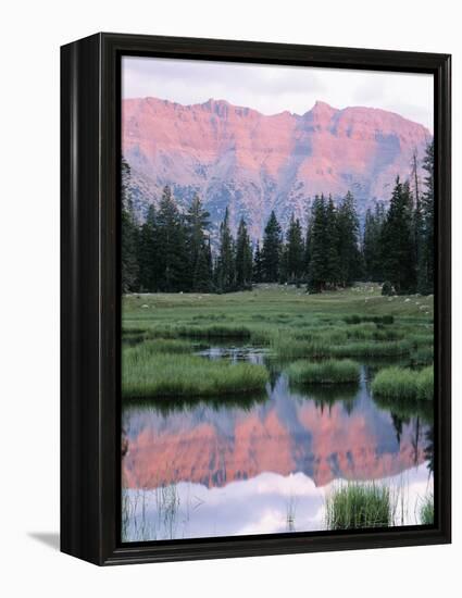 Wasatch National Forest, Ostter Peak, High Uintas Wilderness, Utah, USA-Scott T^ Smith-Framed Premier Image Canvas