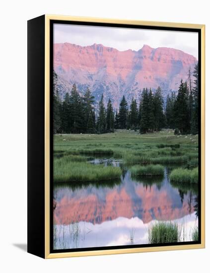 Wasatch National Forest, Ostter Peak, High Uintas Wilderness, Utah, USA-Scott T^ Smith-Framed Premier Image Canvas