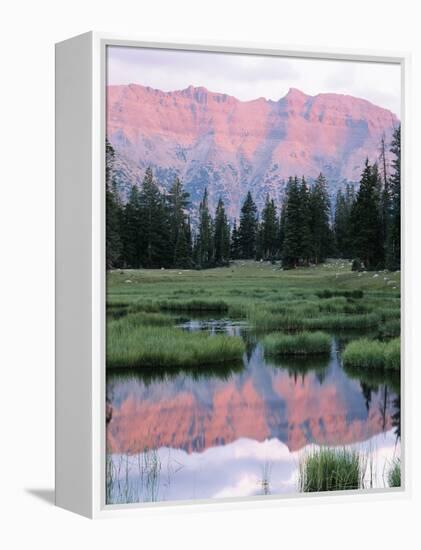 Wasatch National Forest, Ostter Peak, High Uintas Wilderness, Utah, USA-Scott T^ Smith-Framed Premier Image Canvas