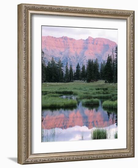 Wasatch National Forest, Ostter Peak, High Uintas Wilderness, Utah, USA-Scott T^ Smith-Framed Photographic Print