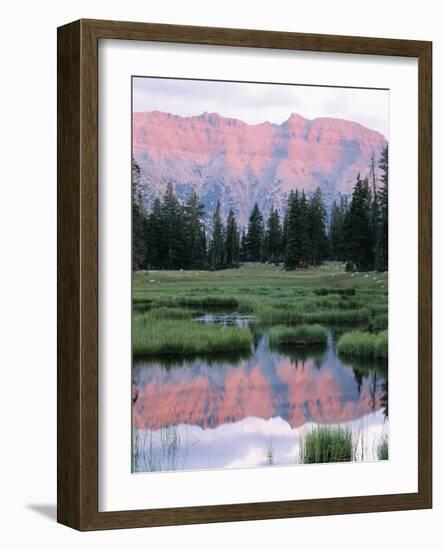 Wasatch National Forest, Ostter Peak, High Uintas Wilderness, Utah, USA-Scott T^ Smith-Framed Photographic Print