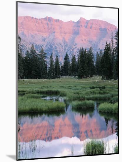 Wasatch National Forest, Ostter Peak, High Uintas Wilderness, Utah, USA-Scott T^ Smith-Mounted Photographic Print