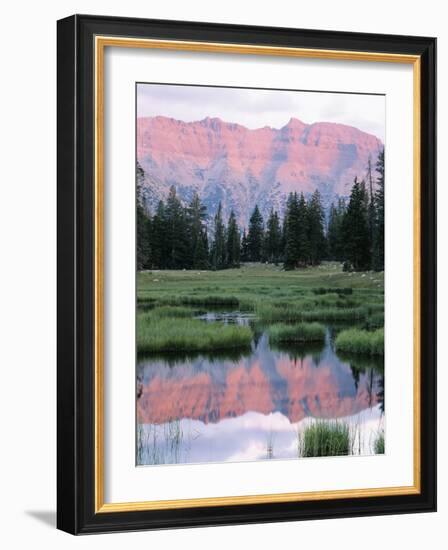 Wasatch National Forest, Ostter Peak, High Uintas Wilderness, Utah, USA-Scott T^ Smith-Framed Photographic Print