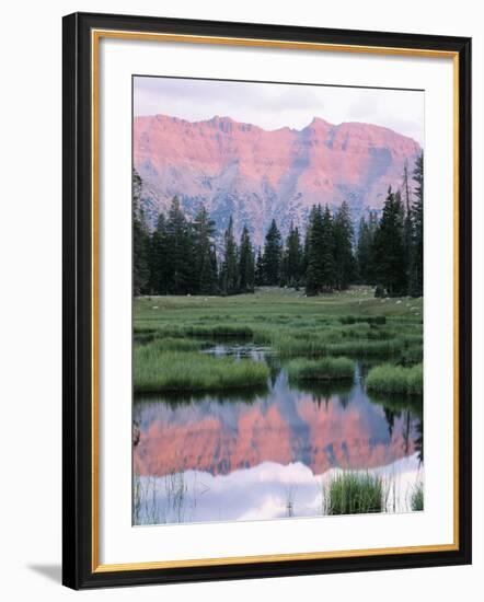 Wasatch National Forest, Ostter Peak, High Uintas Wilderness, Utah, USA-Scott T^ Smith-Framed Photographic Print