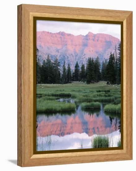 Wasatch National Forest, Ostter Peak, High Uintas Wilderness, Utah, USA-Scott T^ Smith-Framed Premier Image Canvas