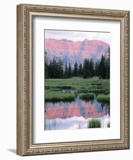 Wasatch National Forest, Ostter Peak, High Uintas Wilderness, Utah, USA-Scott T^ Smith-Framed Photographic Print