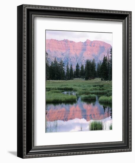 Wasatch National Forest, Ostter Peak, High Uintas Wilderness, Utah, USA-Scott T^ Smith-Framed Photographic Print