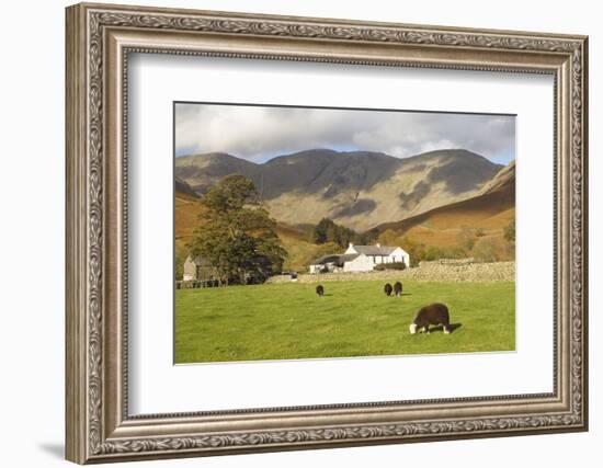 Wasdale Head with Pillar 2927Ft Behind, Wasdale Valley, Lake District National Park, England-James Emmerson-Framed Photographic Print