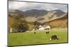 Wasdale Head with Pillar 2927Ft Behind, Wasdale Valley, Lake District National Park, England-James Emmerson-Mounted Photographic Print