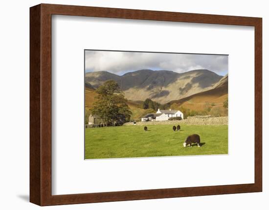 Wasdale Head with Pillar 2927Ft Behind, Wasdale Valley, Lake District National Park, England-James Emmerson-Framed Photographic Print