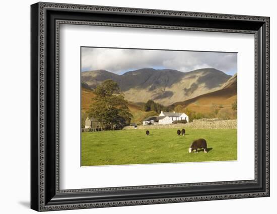 Wasdale Head with Pillar 2927Ft Behind, Wasdale Valley, Lake District National Park, England-James Emmerson-Framed Photographic Print