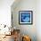 Wash Whale-Lauren Gibbons-Framed Art Print displayed on a wall