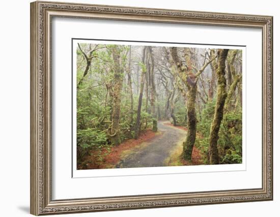 Washburne State Park I-Donald Paulson-Framed Giclee Print