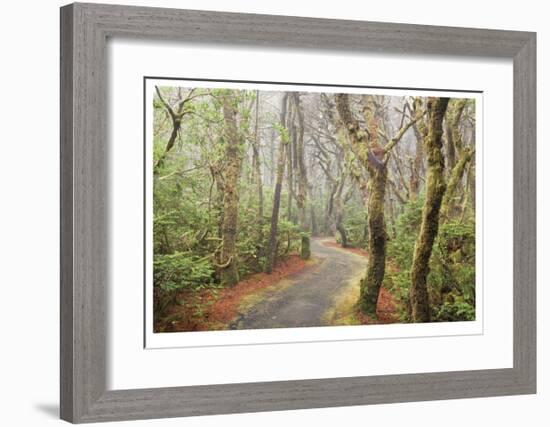 Washburne State Park I-Donald Paulson-Framed Giclee Print