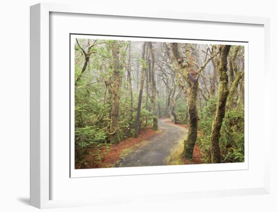 Washburne State Park I-Donald Paulson-Framed Giclee Print