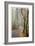 Washburne State Park II-Donald Paulson-Framed Giclee Print