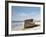 Washed Ashore-Zhen-Huan Lu-Framed Giclee Print