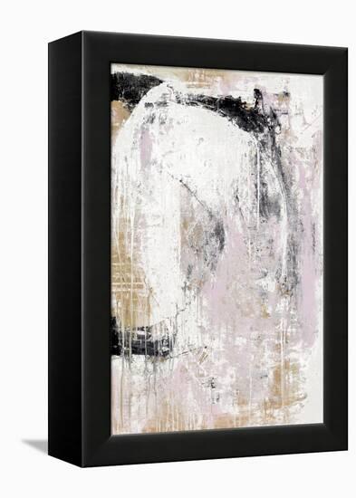 Washed Secrets-Erin Ashley-Framed Stretched Canvas