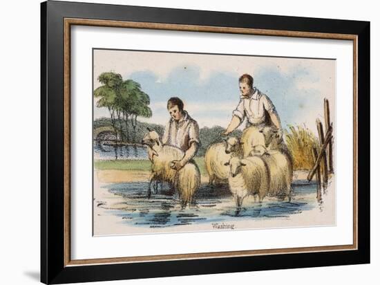 Washing, C1845-Benjamin Waterhouse Hawkins-Framed Giclee Print