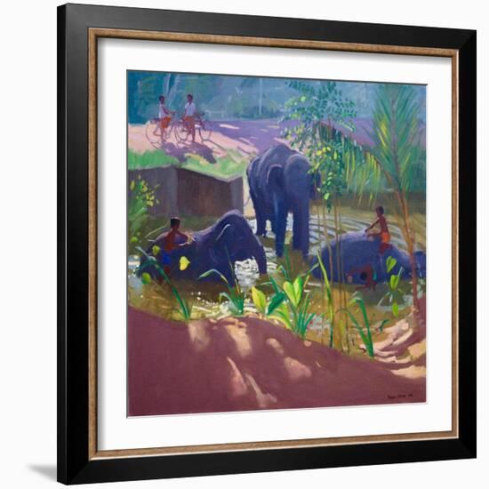 Washing Elephants, Sri Lanka, 1995-Andrew Macara-Framed Giclee Print