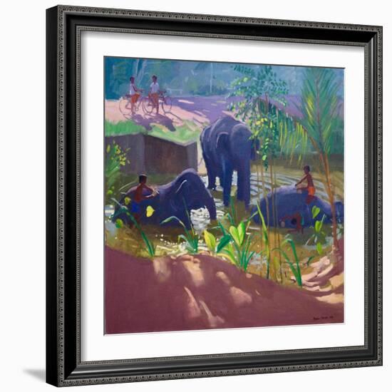 Washing Elephants, Sri Lanka, 1995-Andrew Macara-Framed Giclee Print