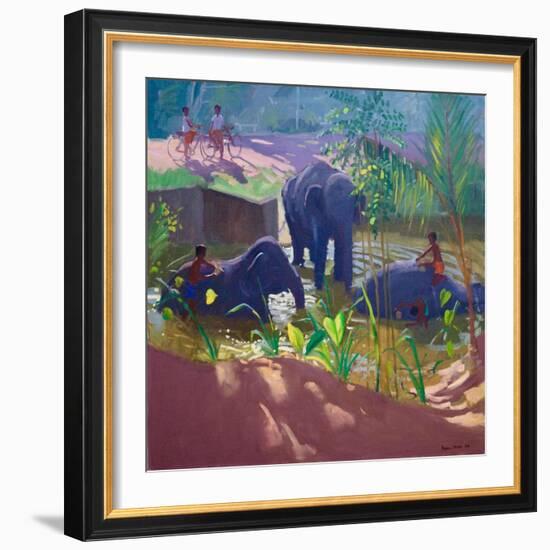 Washing Elephants, Sri Lanka, 1995-Andrew Macara-Framed Giclee Print