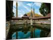 Premium Photographic Print