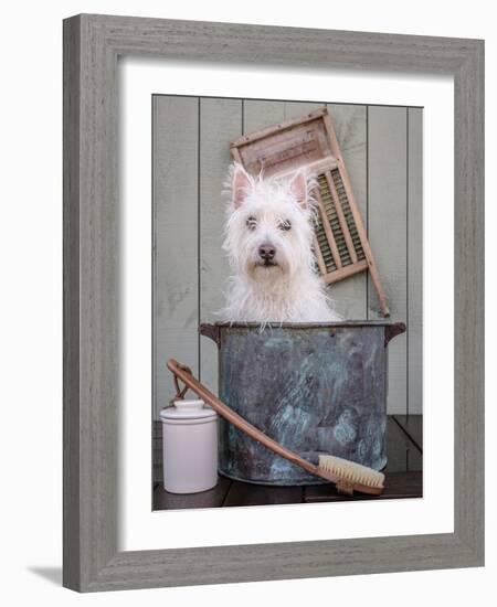 Washing the Dog-Edward M. Fielding-Framed Photographic Print