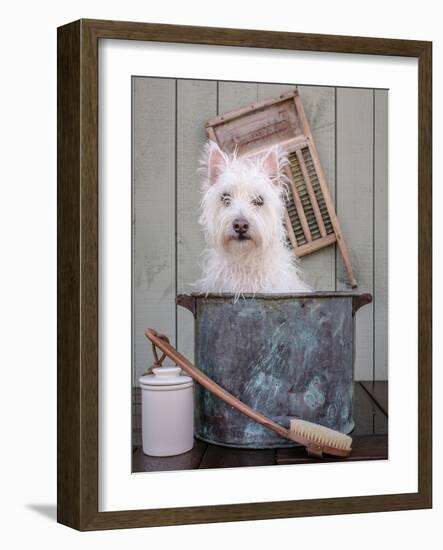 Washing the Dog-Edward M. Fielding-Framed Photographic Print