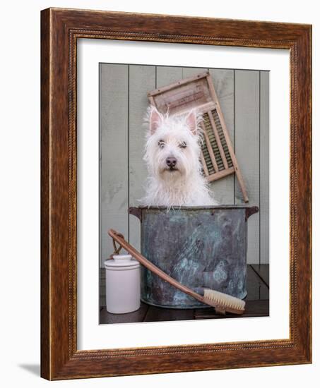 Washing the Dog-Edward M. Fielding-Framed Photographic Print