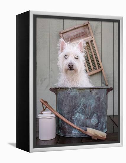 Washing the Dog-Edward M. Fielding-Framed Premier Image Canvas
