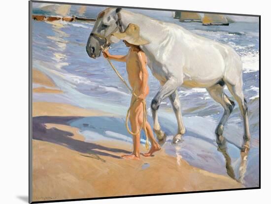 Washing the Horse, 1909-Joaquin Sorolla y Bastida-Mounted Giclee Print