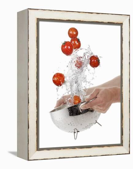 Washing Tiger Tomatoes in a Colander-Kröger & Gross-Framed Premier Image Canvas