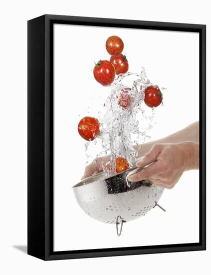 Washing Tiger Tomatoes in a Colander-Kröger & Gross-Framed Premier Image Canvas