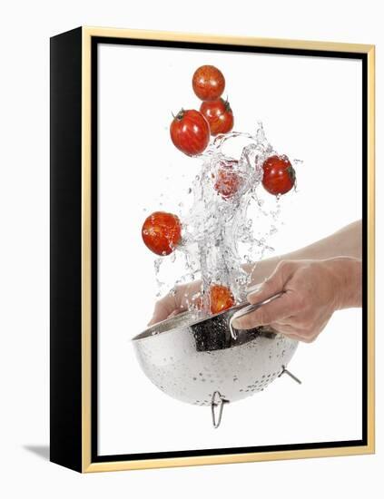 Washing Tiger Tomatoes in a Colander-Kröger & Gross-Framed Premier Image Canvas